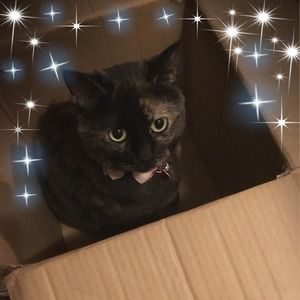 Meet your Posher, Sandie